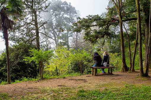 10 Beautiful Botanical Gardens in Michigan!