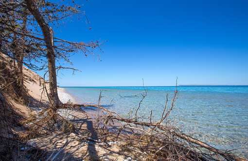 15 Most Romantic Places in Michigan!