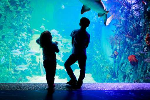 The 10 Best Science Centers in Michigan!