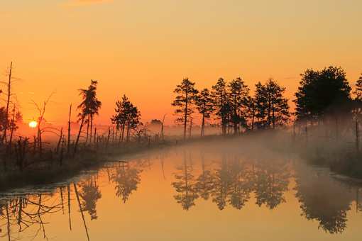 The 10 Best State Parks in Michigan!